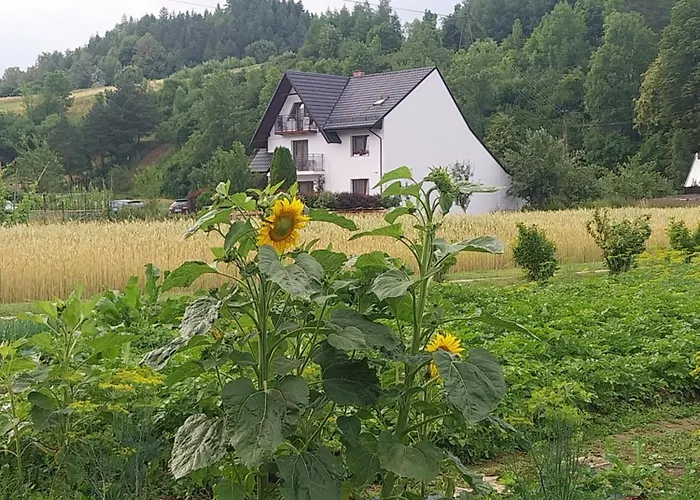 U Magdy Kwatera prywatna Sromowce Wyzne